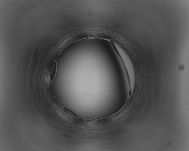 X0000092261155200710051314