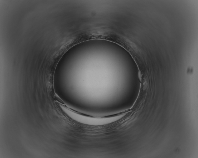 X0000092261156200710051314