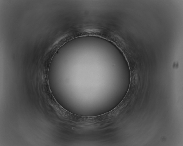 X0000092261158200710051314