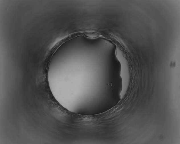 X0000092261160200710051313