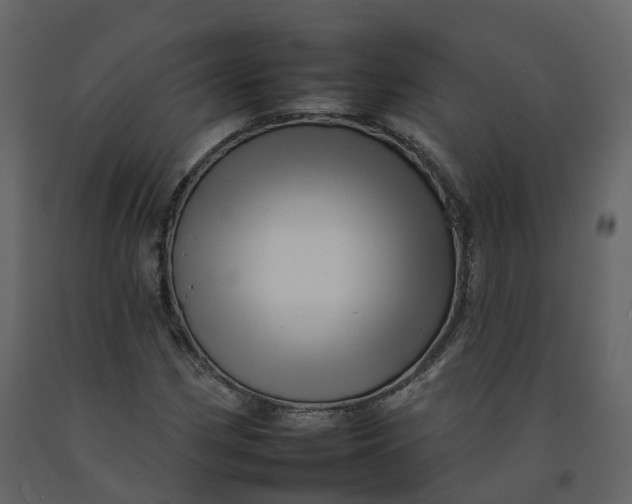 X0000092261162200710051313