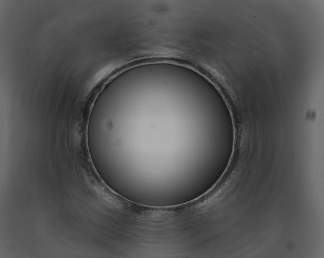 X0000092261163200710051313