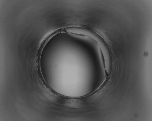 X0000092261164200710051313