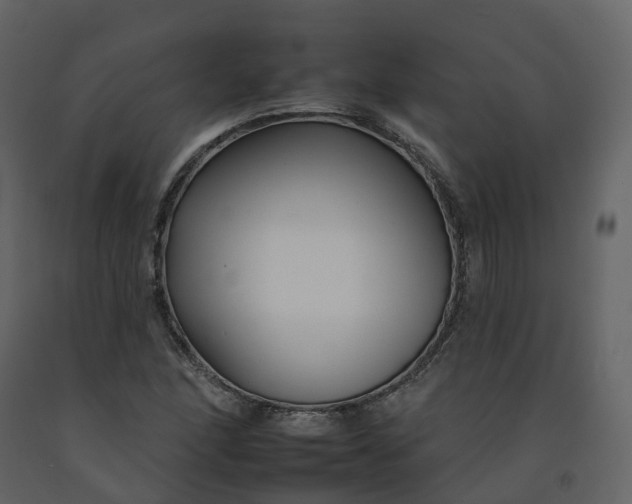 X0000092261166200710051313