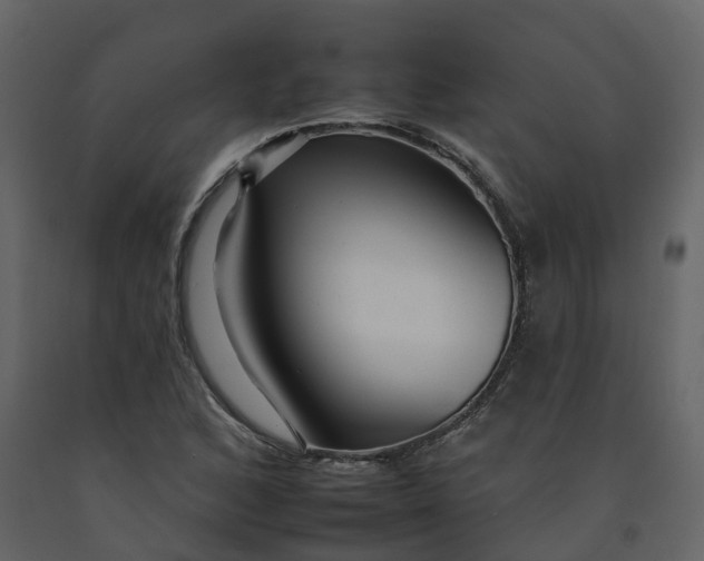 X0000092261168200710051313