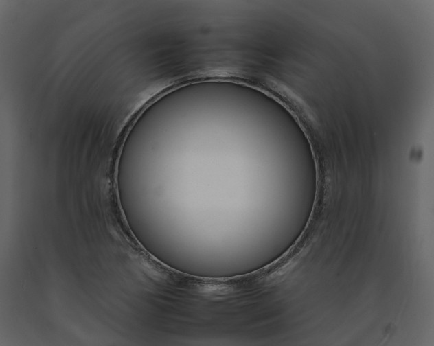 X0000092261170200710051313