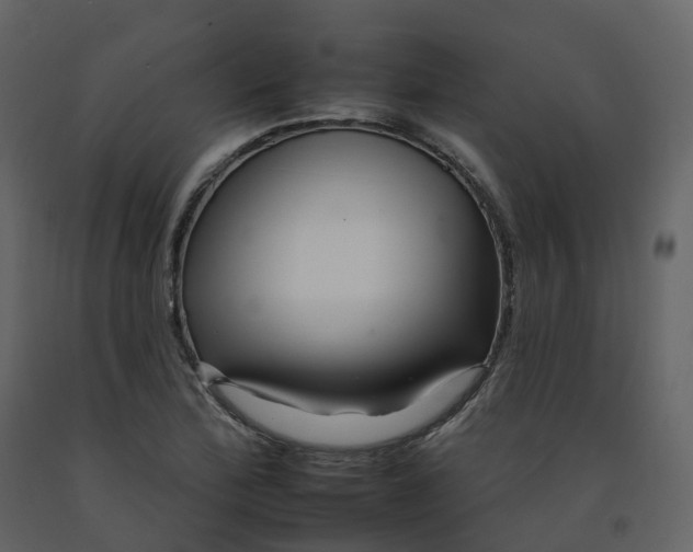 X0000092261172200710051313