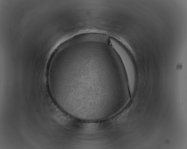 X0000092261173200710051313