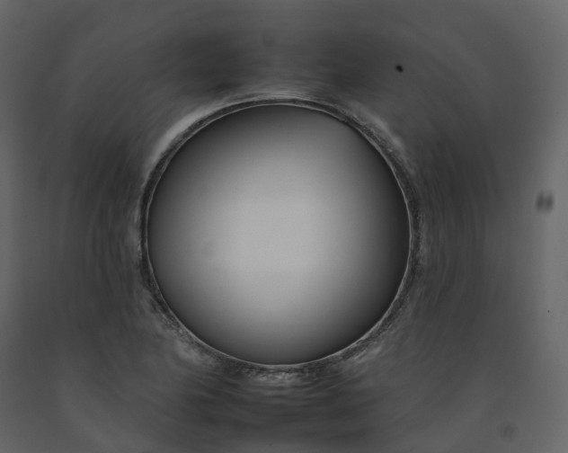 X0000092261174200710051313