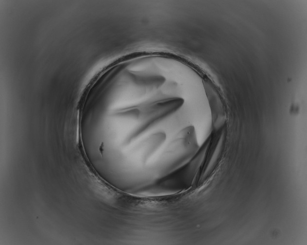 X0000092261175200710051313