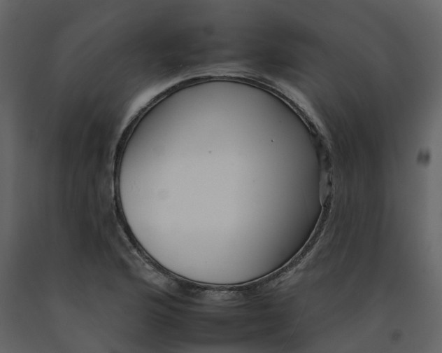 X0000092261176200710051313