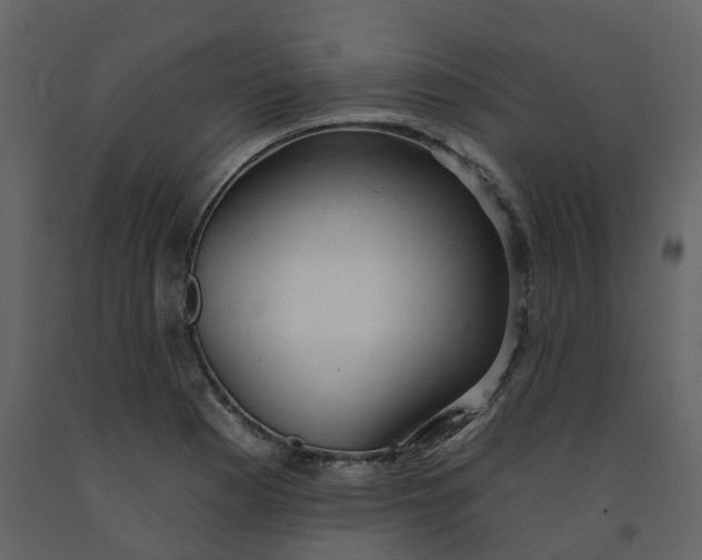 X0000092261177200710051313