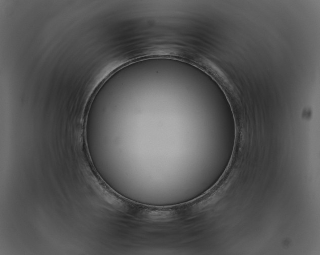 X0000092261178200710051313