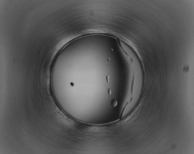 X0000092261179200710051313