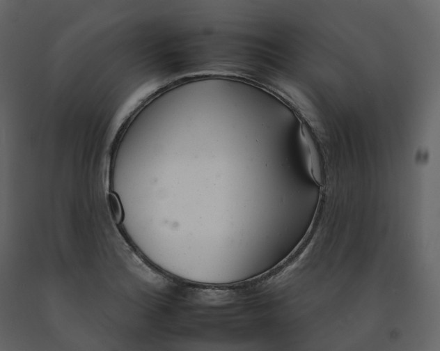 X0000092261180200710051313