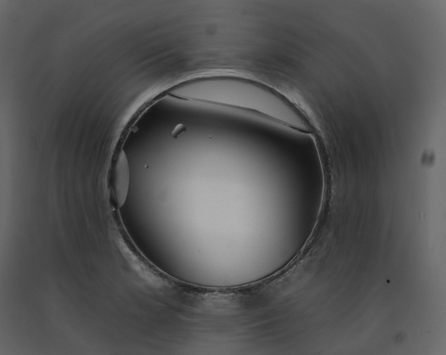 X0000092261181200710051313