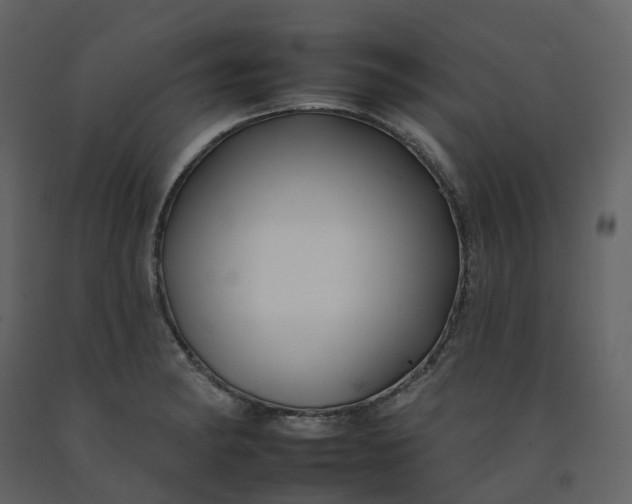 X0000092261182200710051313