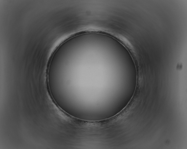 X0000092261183200710051313