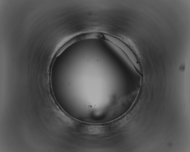 X0000092261184200710051313