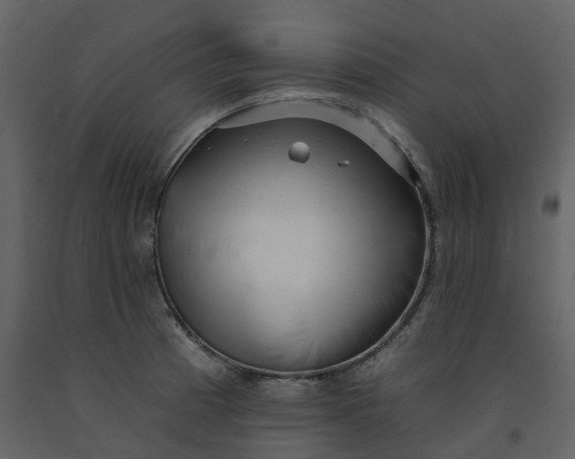 X0000092261185200710051313