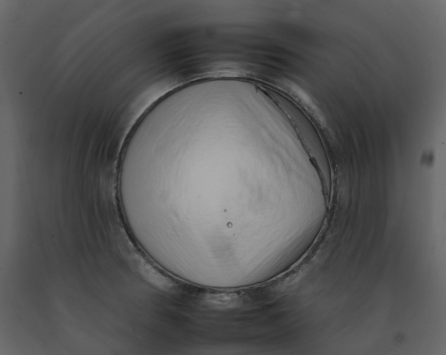 X0000092261186200710051313