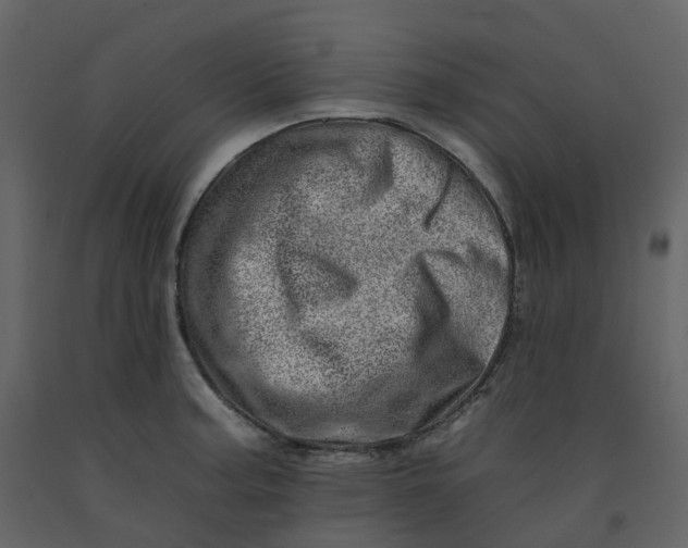 X0000092261187200710051313