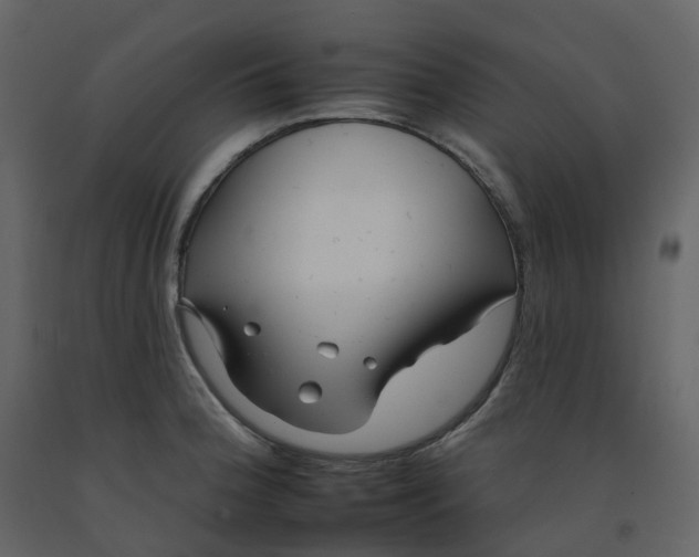 X0000092261188200710051313