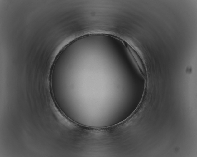 X0000092261189200710051313