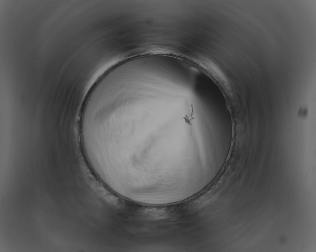 X0000092261190200710051313