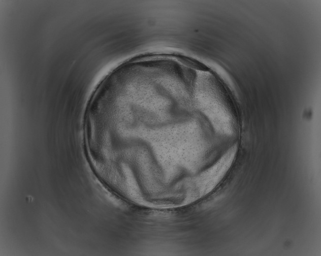 X0000092261191200710051313