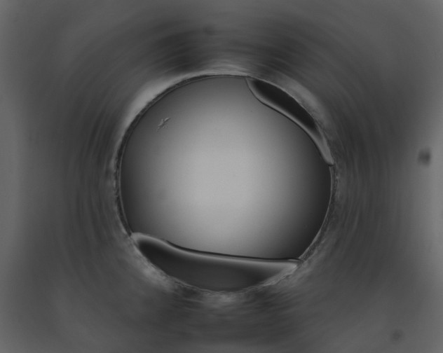 X0000092261192200710051313