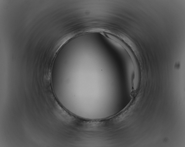 X0000092261193200710051313