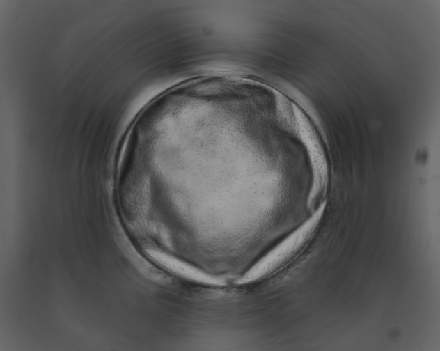 X0000092261195200710051313