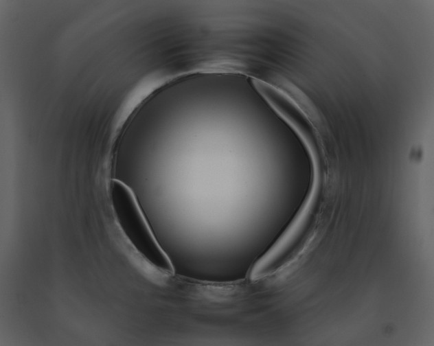 X0000092261196200710051313