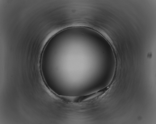 X0000092261197200710051313