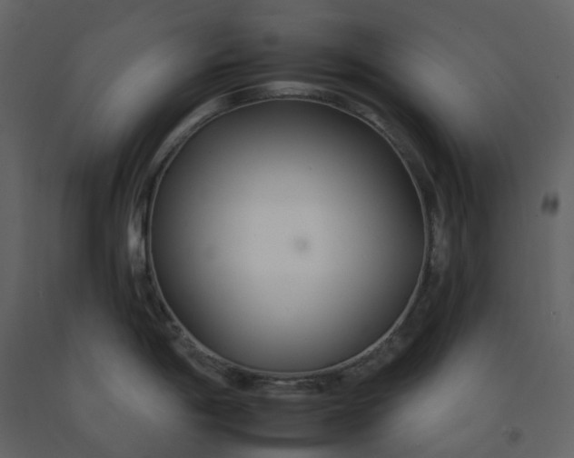 X0000092261198200710051313