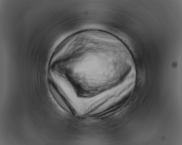 X0000092261199200710051313