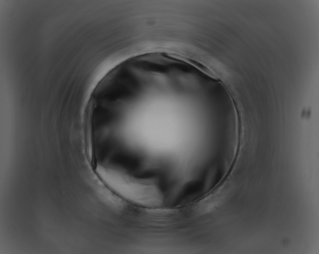 X0000092261200200710051313