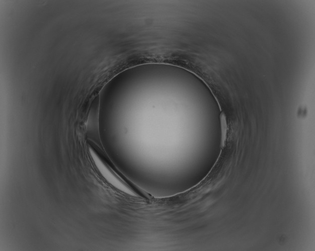 X0000092261202200710051312