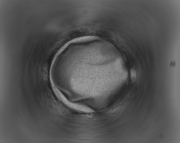 X0000092261203200710051312