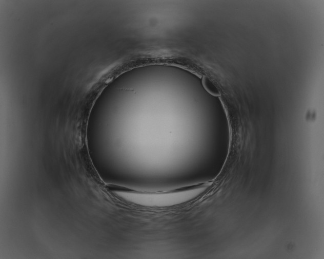 X0000092261205200710051312