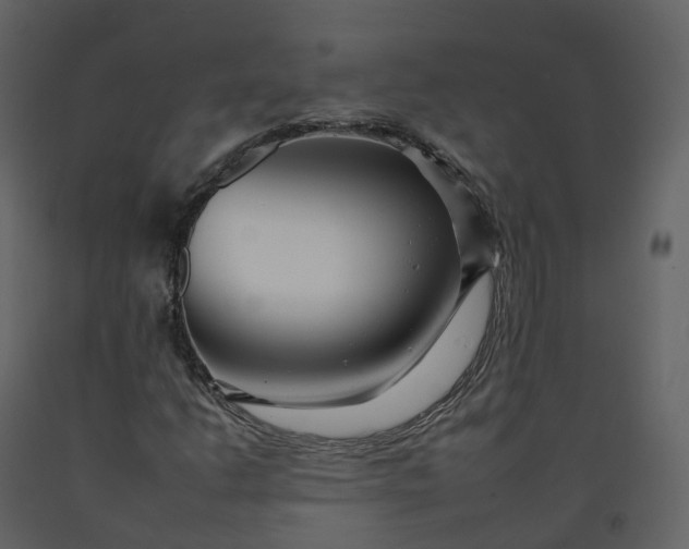 X0000092261206200710051312