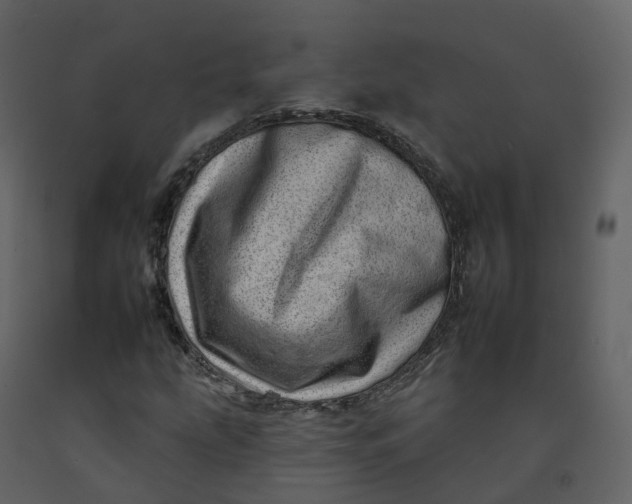 X0000092261207200710051312