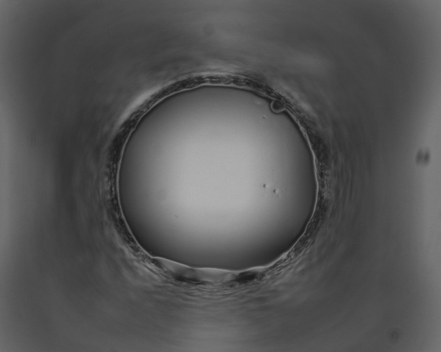 X0000092261208200710051312