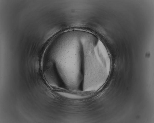 X0000092261209200710051312