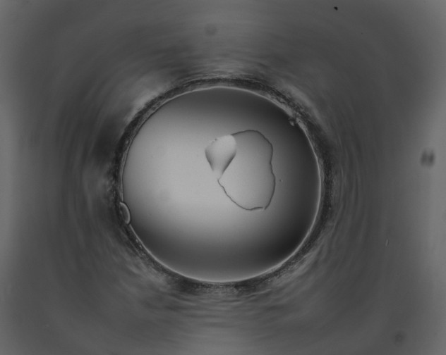 X0000092261210200710051312