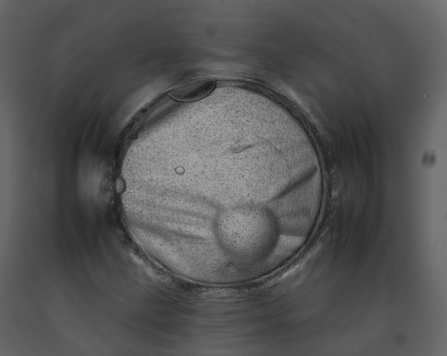 X0000092261211200710051313