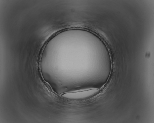 X0000092261212200710051313