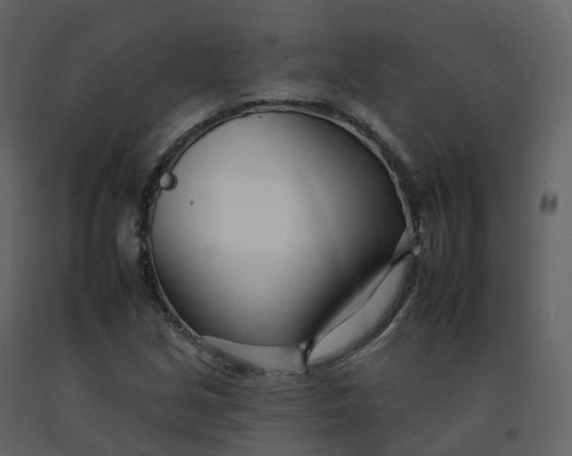 X0000092261213200710051313