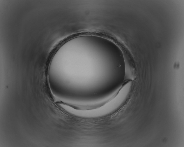 X0000092261214200710051313